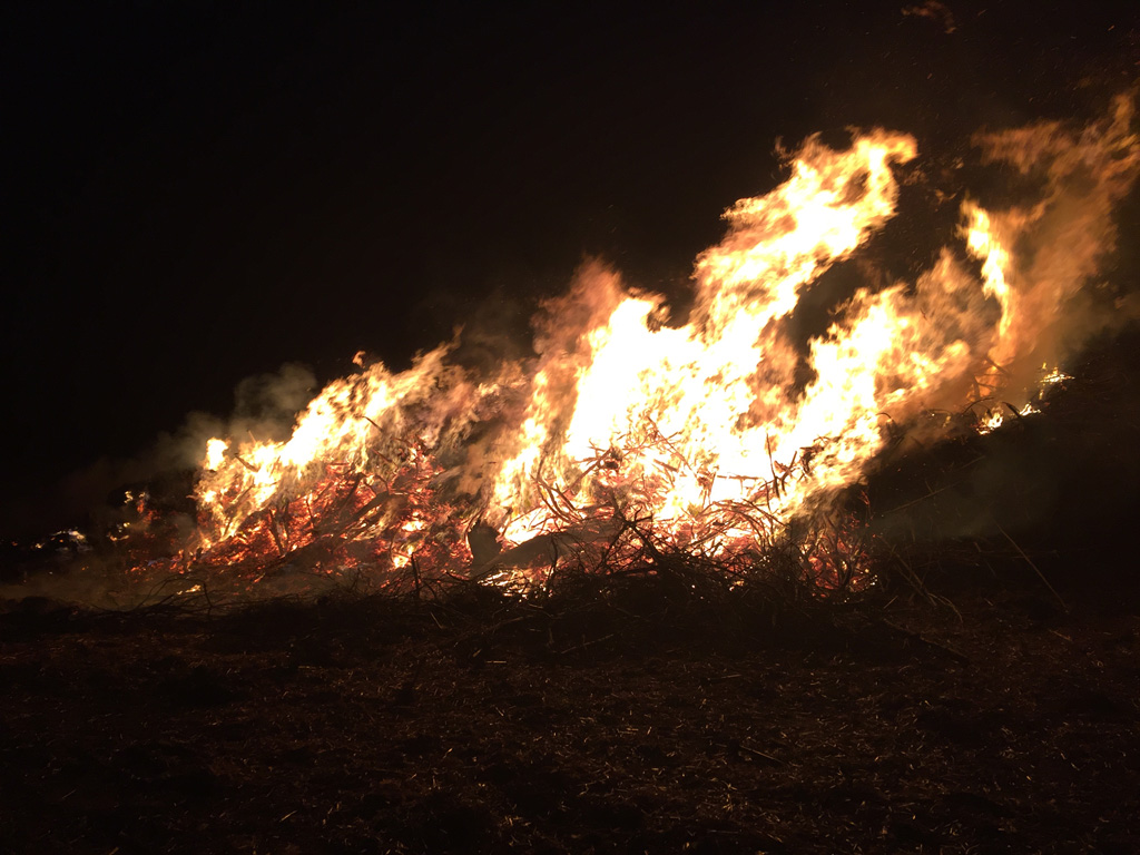 Osterfeuer 2016 Bild 3